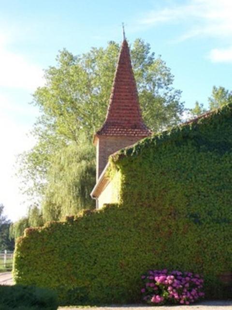 Le Platane Bed and Breakfast Lafrançaise Eksteriør billede